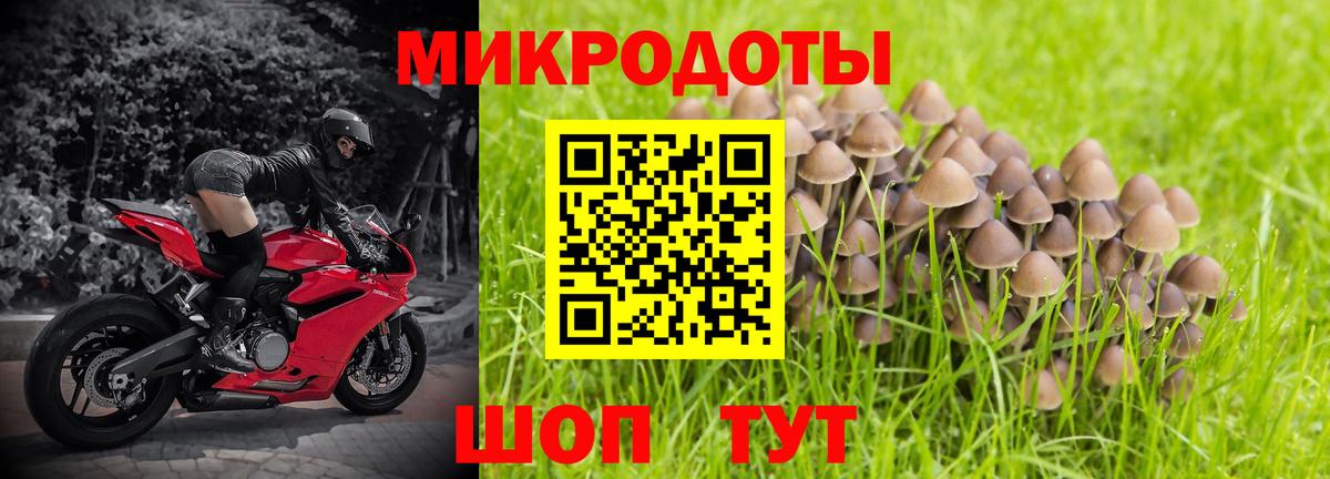 наркотики  Вход с VPN  Татарск  Псилоцибиновые грибы Cubensis 